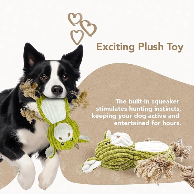 Eco-Bud Buddy Pet Toys for Dogs, Densely Woven Squeaky Dog Toys with Built-in Squeak, Long-Lasting and Durable, Recycled Plush Dog Squeaky Toys