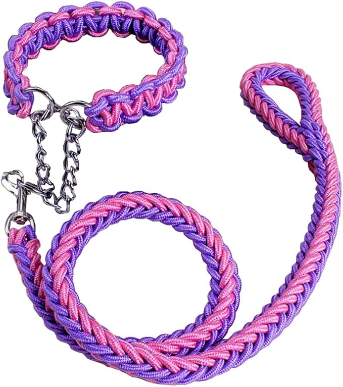 Love Dream Dog Collar and Leash Set, Heavy Duty Nylon Braided Rope Strong 4 FT Dog Leash and Martingale Training Collar for Small Medium Large Dogs Training and Walking (Purple & Pink)