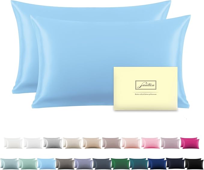 Silk Pillow Cases 2 Pack,Soft Breathable and Sliky Queen Size Pillow Cases Set of 2,Natural Mulberry Silk Pillowcase Set of 2 for Hair and Skin with Hidden Zipper (Sky Blue,20"X 30",2pcs)