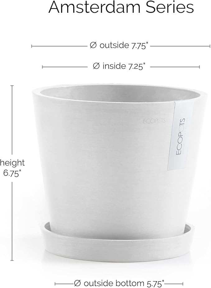 Ecopots Amsterdam Durable Modern Round Indoor/Outdoor Recycled-Based Composite Flower Pot Planter w/Water Reservoir, Pure White, 8"