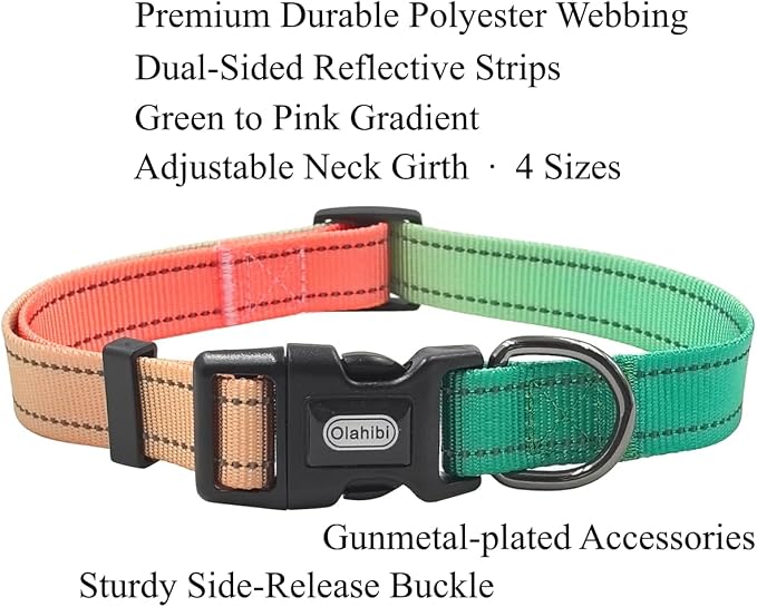 Dog Collar Leash Set, Gradient Color, with Safety Reflective Strips, 5 ft Matching Leash, Neoprene Padded Handle, Adjustable 4 Sizes for Small Medium Large Dogs.(L, Green Orange)