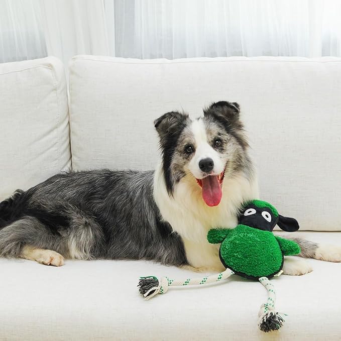 Green Sheep Rope Toy for Dogs, Durable Plush Dog Chew Toy with Squeaker, Interactive Pet Toy for Small Medium Large Dogs, Tough Recycle Cotton Rope & PP Cotton Stuffing