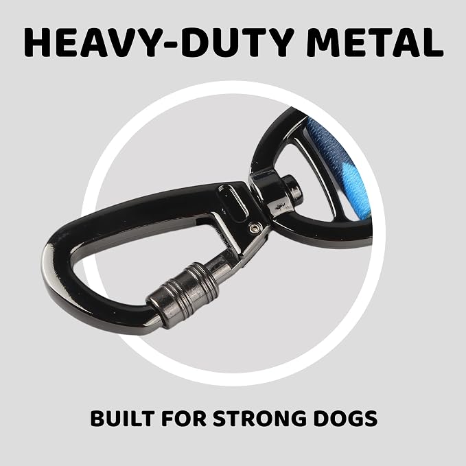 EVERKING Dog Collar & Leash Set for Everyday Walking | Matching adjustable collar and leash set with reflective handle and heavy-duty hardware for comfortable everyday dog walks.