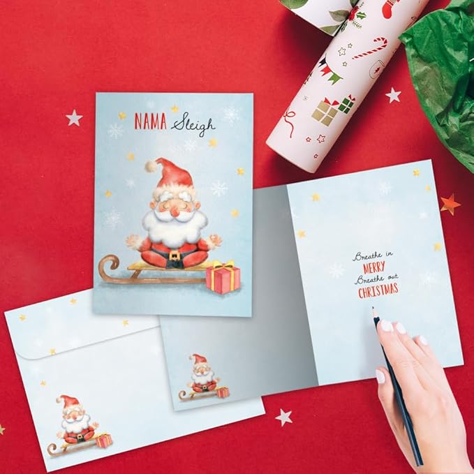 Tree-Free Greetings - Christmas Greeting Cards - Artful Designs - 12 Cards + Matching Envelopes - Made in USA - 100% Recycled Paper - 5"x7" - Nama Sleigh (HP60532)