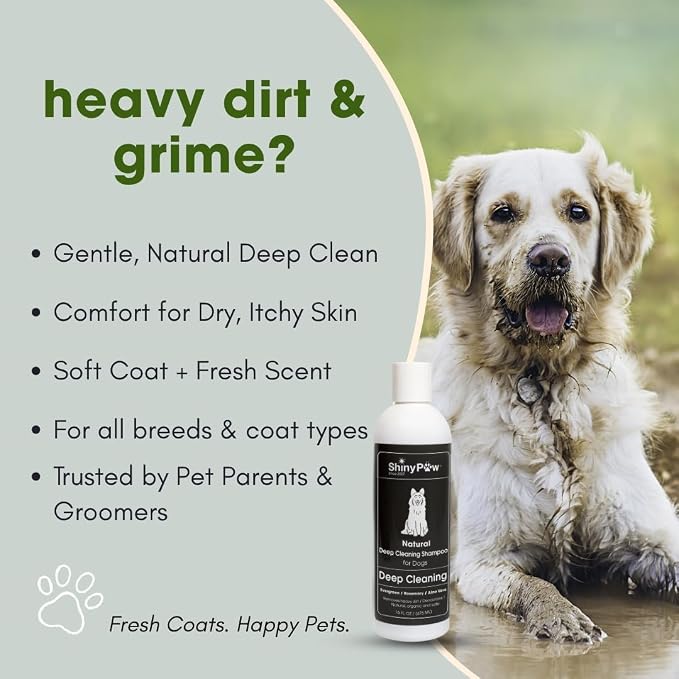 Shiny Paw Natural Deep Cleaning Organic Dog Shampoo 16 oz | Dog Itching Skin Relief with Evergreen, Aloe & Rosemary | Natural Dog Shampoo for Smelly Dogs