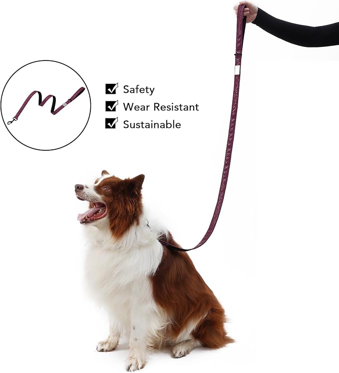 Soft Leather 4ft Dog Collar and Leash Set,Stylish 4ft PU Leather Dog Training Leash, Adjustable Durable Pet Collars with Quick Release Buckle for Large Dogs,Medium Dogs,Terracotta (red-Brown, 4 feet)