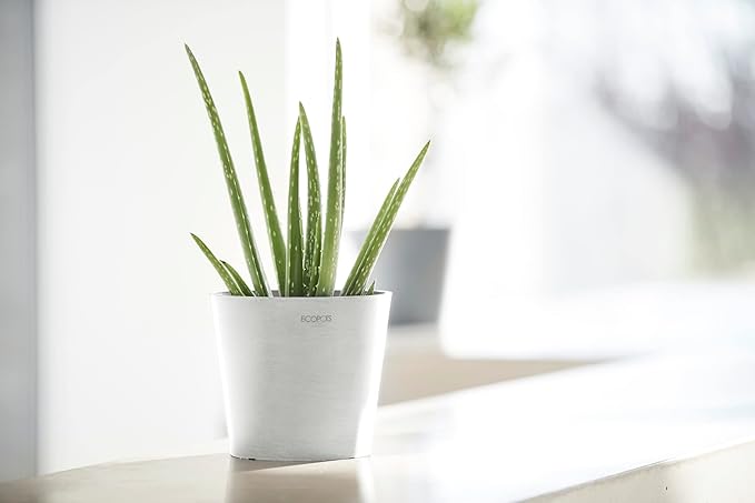 Ecopots Amsterdam Mini Durable Modern Round Recycled-Based Composite Flower Pot Planter, Pure White, 7"