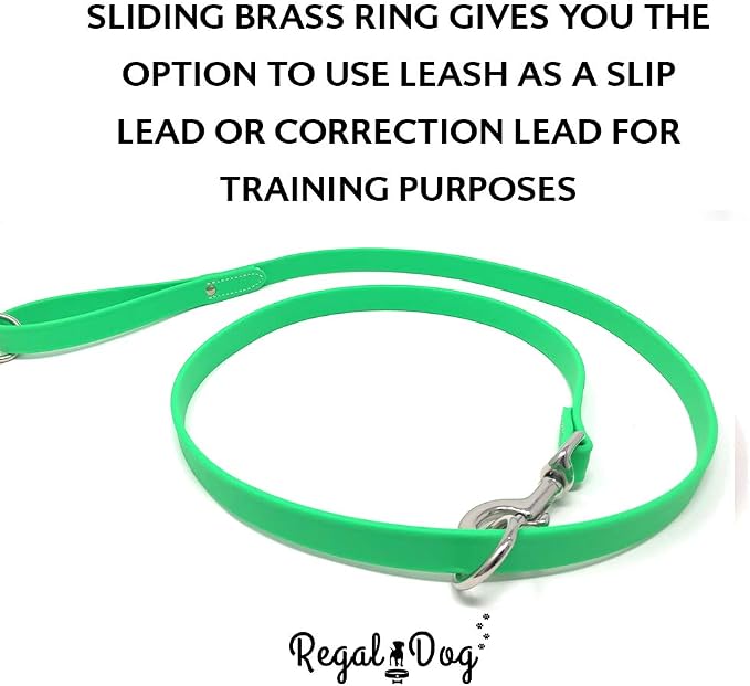 Regal Dog Products Medium Light Green Waterproof Dog Collar and Leash Set | Heavy Duty Double Buckle & D Ring - 5'ft Leash | Adjustable Biothane Dog Collar | Chew Resistant Waterproof Collar for Dogs