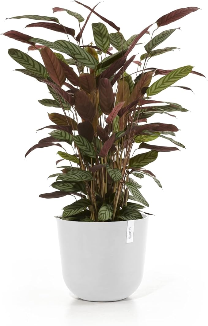 Ecopots Oslo Durable Modern Round Indoor/Outdoor Recycled-Based Composite Flower Pot Planter, Pure White, 14"