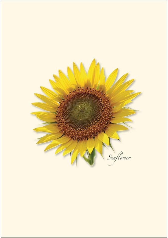 Earth Sky + Water - Sunflower Assortment Notecard Set - 8 Blank Cards with Envelopes