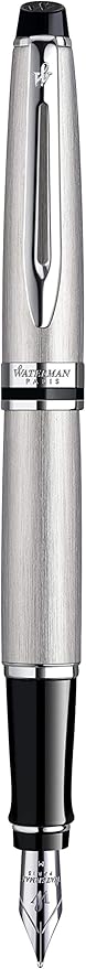 Waterman Expert GB fountain pen