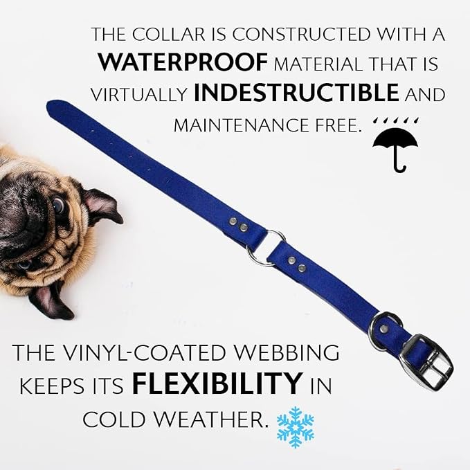 Regal Dog Products Small Blue Waterproof Dog Collar and Leash Set | Heavy Duty Double Buckle & D Ring - 5'ft Leash | Adjustable Biothane Dog Collar | Chew Resistant Waterproof Collar for Dogs