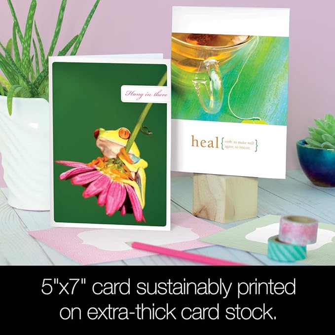 Tree-Free Greetings - Get Well Cards - Artful Designs - 8 Assorted Cards + Matching Envelopes - Made in USA - 100% Recycled Paper - 5 x 7 - Rest Up and Heal (GA31531)