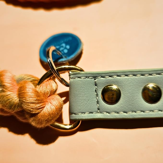 Pawtopia Cotton Braided Rope Collar for Medium Dogs, Vegan Leather Handle (Light Blue) with One Complimentary Roll of Dog Poop Bags (15 Bags), Durable Metal Buckle (Soft Rainbow Color, Medium)