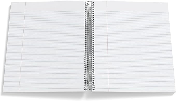 STAPLES Premium 5‑Subject Notebook, 8.5” x 11”, College Ruled, 200 Sheets, Brown Cover