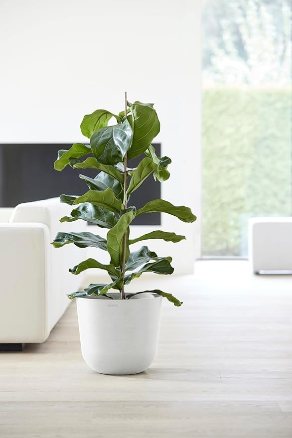 Ecopots Oslo Durable Modern Round Indoor/Outdoor Recycled-Based Composite Flower Pot Planter, Pure White, 14"
