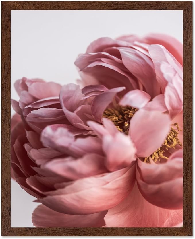 Monem Art Blush Pink Peony Print - Minimalist Floral Photography Poster - Wall Decor for Living Room, Bedroom or Office - 12x16 Brown Framed Wall Art by Mareike Bohmer