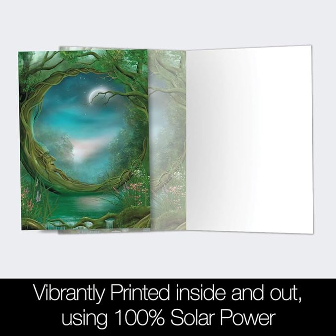 Tree-Free Greetings - All Occasion Cards - Artful Designs - 12 Greeting Cards + White Envelopes - Made in USA - 100% Recycled Paper - 4 x 6 - Day and Night (FS66495)
