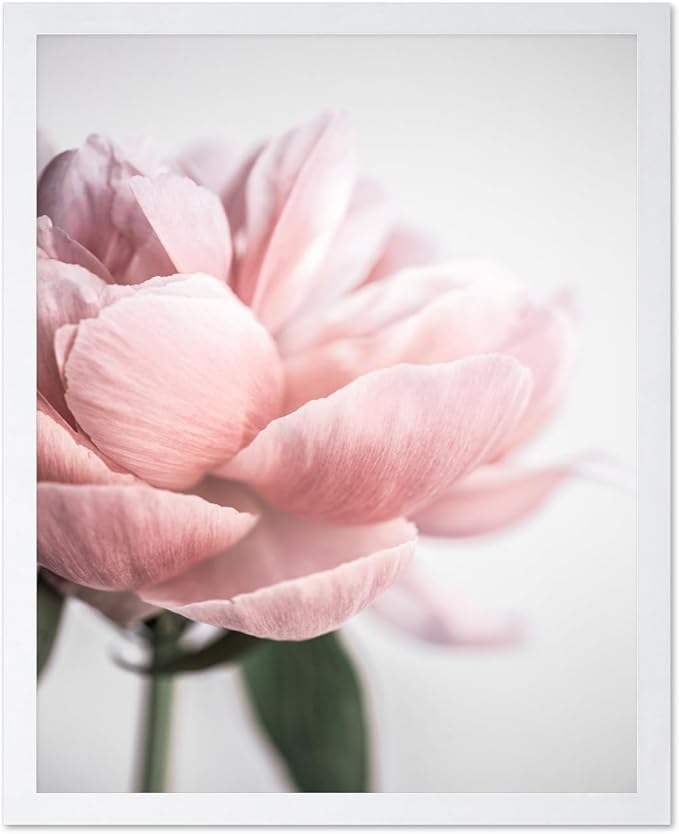 Monem Art Soft Pink Peony Macro Photography Print - Minimalist Floral Art Poster - Wall Decor for Living Room, Bedroom or Office - 12x16 White Framed Wall Art by Mareike Bohmer