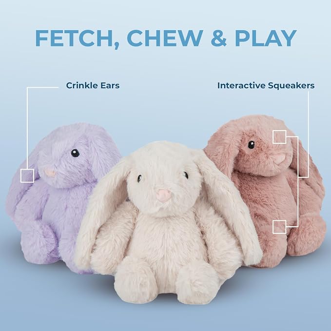 Best Pet Supplies Interactive Squeaky Dog Chew Toy, Ideal Dog Toys for Chewers, Small, Medium & Large Dogs, and Fetch Lovers - Bunny (Mauve), Small