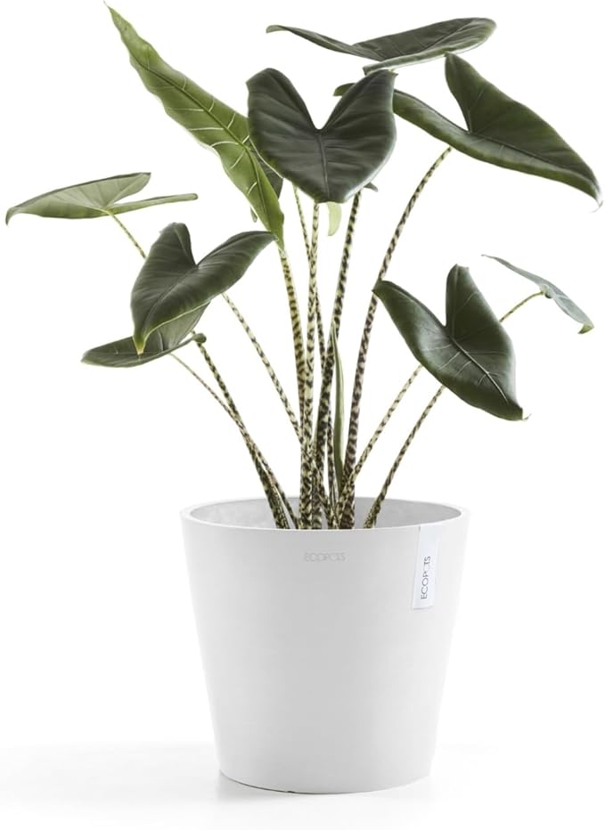 Ecopots Amsterdam Durable Modern Round Indoor/Outdoor Recycled-Based Composite Flower Pot Planter, Pure White, 12"
