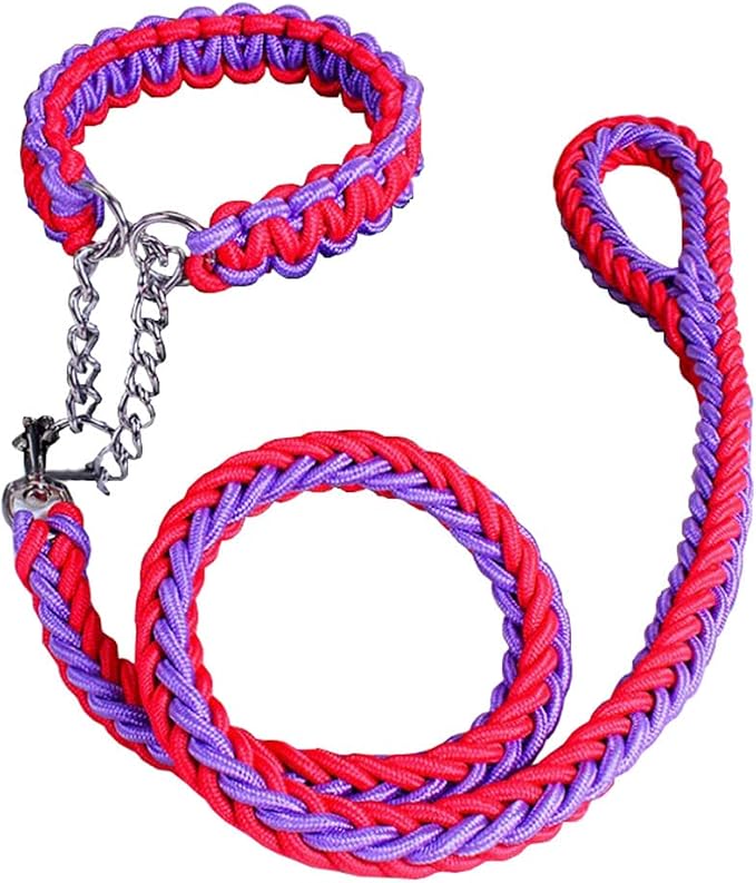 Love Dream Dog Collar and Leash Set, Heavy Duty Nylon Braided Rope Strong 4 FT Dog Leash and Martingale Training Collar for Small Medium Large Dogs Training and Walking (Red & Purple)