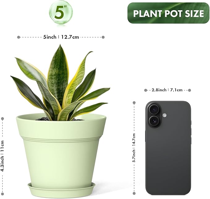 WSMKSZ 5 Inch Plastic Plant Pots with Drainage Holes and Trays – 6 Pack Small Nursery Pots for Indoor & Outdoor House Plants and Flowers, Seedling Starter Planters, Colorful