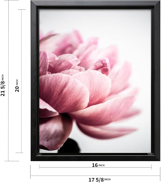 Monem Art Pink Peony Macro Photography Print - Minimalist Floral Art Poster - Wall Decor for Living Room, Bedroom or Office - 16x20 Black Framed CANVAS Wall Art by Mareike Bohmer