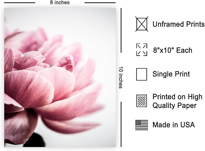 Monem Art Pink Peony Macro Photography Print - Minimalist Floral Art Poster - Wall Decor for Living Room, Bedroom or Office - 8x10 Unframed Wall Art by Mareike Bohmer