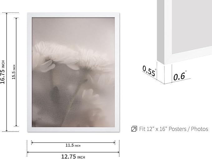 Monem Art Ethereal White Flower Print - Minimalist Botanical Photography Poster - Wall Decor for Living Room, Bedroom or Office - 12x16 White Framed Wall Art by Mareike Bohmer