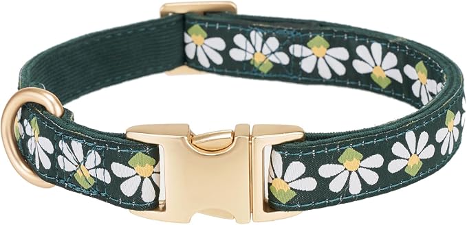 Woven Dog Collar with Metal Buckle Adjustable Jacquard Retro Dog Collars for Small Medium Large Dogs(Green,L)