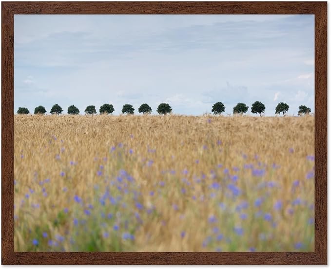 Monem Art Golden Meadow Horizon Landscape Print - Minimalist Nature Photography Poster - Wall Decor for Living Room, Bedroom or Office - 8x10 Brown Framed Wall Art by Mareike Bohmer