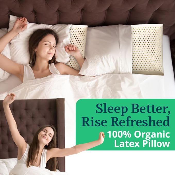 ORGANIC TEXTILES 100% Talalay Latex Bed Pillow with GOTS Certified Organic Cotton Cover (Queen Size - Soft) - Pack of 1