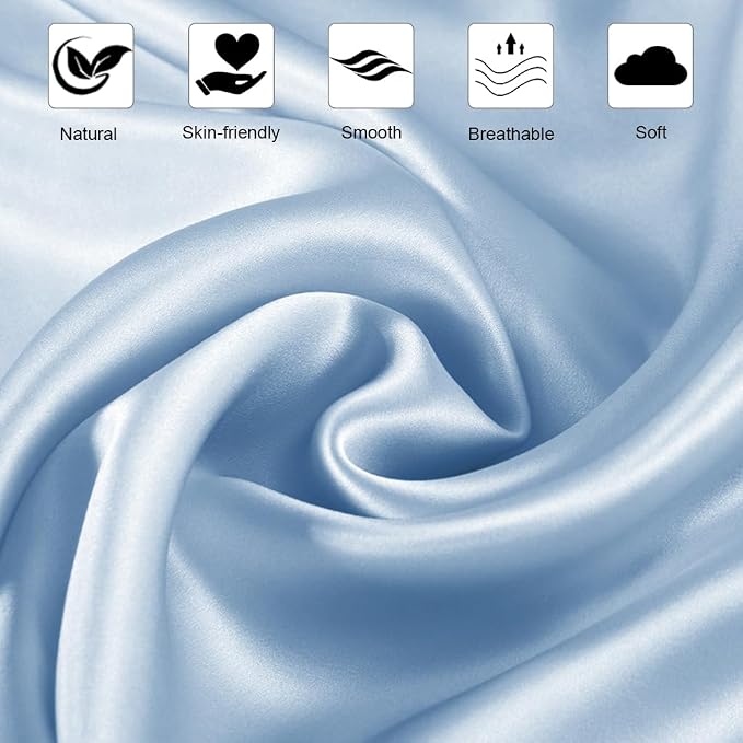 Ravmix Silk Pillow Cases with Zipper, 21momme Mulberry Silk Pillowcase for Hair Skin Health, Soft Smooth Breathable Cool Pillow Cover for Beauty Sleep with Gift Box 1PC(Queen 20"x30", Light Blue)