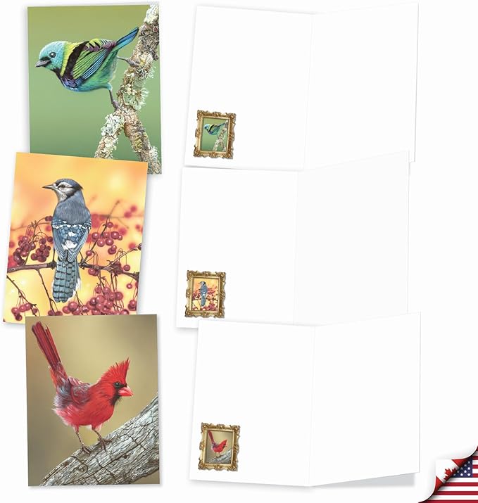The Best Card Company - 20 Blank Notes with Envelopes - All Occasion Animal Assortment (10 Designs, 2 Each) - Bird Beauties AM9616OCB-B2x10
