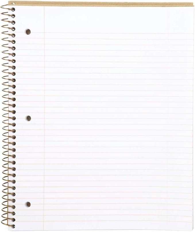 Mintra 100% Recycled Notebooks (Letter Size (8.5in x 11in), Plain Cover 3pk)