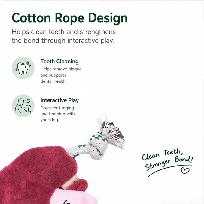 Green Sheep Puppy Plush Dog Toy, No Stuffing Squeaky Toy with Recycled Cotton Rope for Teething, Comfort and Gentle Play, Small Dogs and Puppies, Mushroom