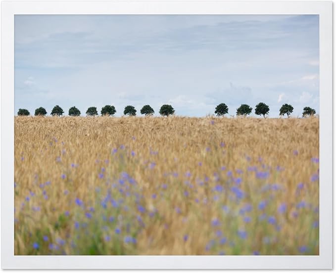Monem Art Golden Meadow Horizon Landscape Print - Minimalist Nature Photography Poster - Wall Decor for Living Room, Bedroom or Office - 16x20 White Framed Wall Art by Mareike Bohmer