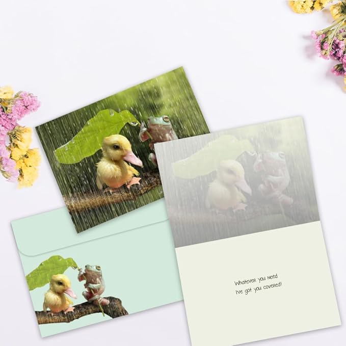 Tree-Free Greetings - Birthday Cards - Artful Designs - 8 Cards + Matching Envelopes - Made in USA - 100% Recycled Paper - 5"x7" - Thinking of You, Friendship, All Occasion, Thank You, Birthday (AGA1139)
