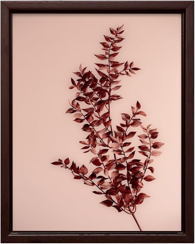 Monem Art Dried Red Botanical Branch Print - Minimalist Boho Nature Poster - Wall Decor for Living Room, Bedroom or Office - 12x16 Brown Framed CANVAS Wall Art by Mareike Bohmer