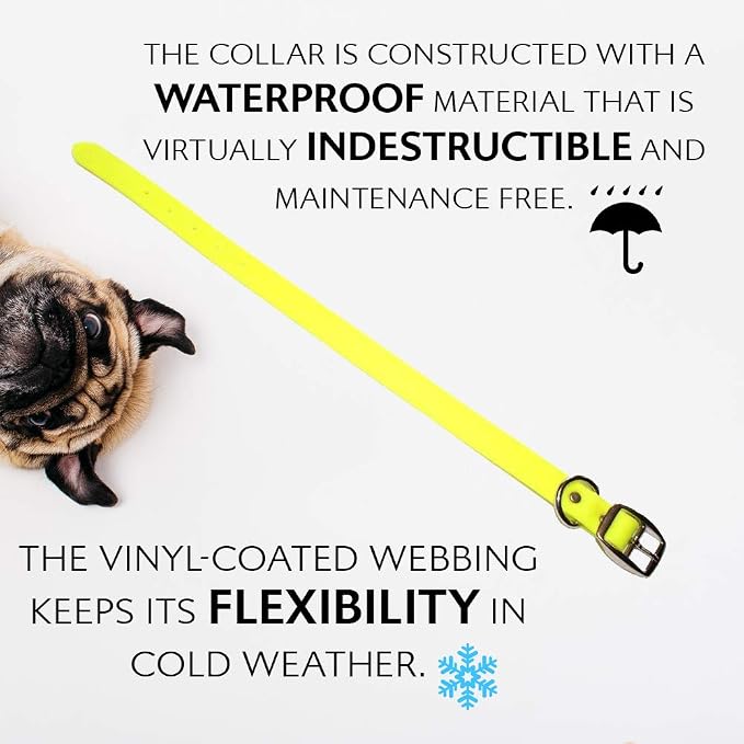 Regal Dog Products Small Yellow Waterproof Dog Collar and Leash Set | Heavy Duty Double Buckle & D Ring - 5'ft Leash | Adjustable Biothane Dog Collar | Chew Resistant Waterproof Collar for Dogs