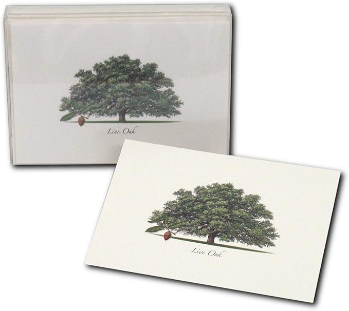 Earth Sky + Water - Live Oak Notecard Set - 8 Blank Cards with Envelopes