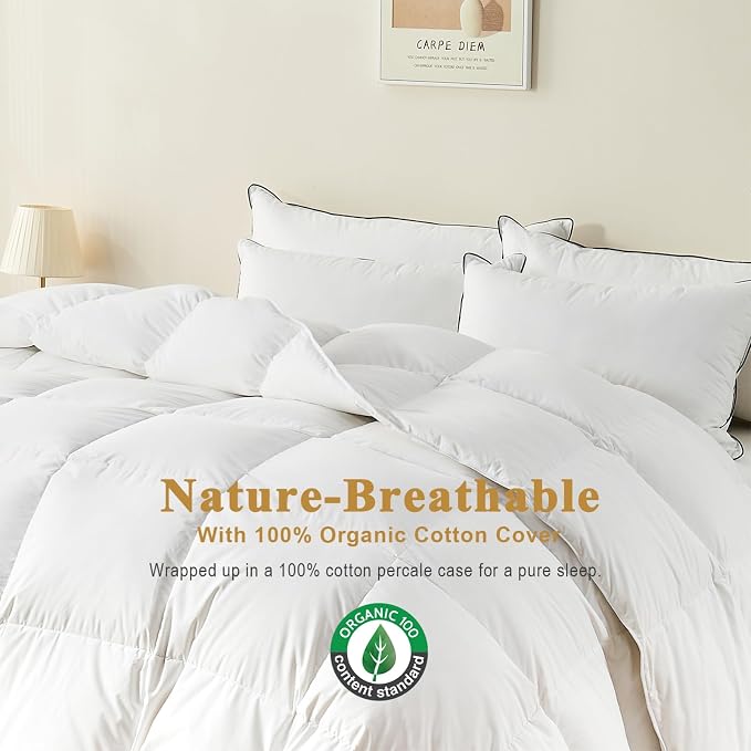 TOPGREEN Organic Feather Down Comforter Twin Size, Luxury Extra-Fluffy Duvet Insert, All Season Bed Comforter with Ultra-Soft Organic Cotton Case (68x90 Inch, Ivory White)