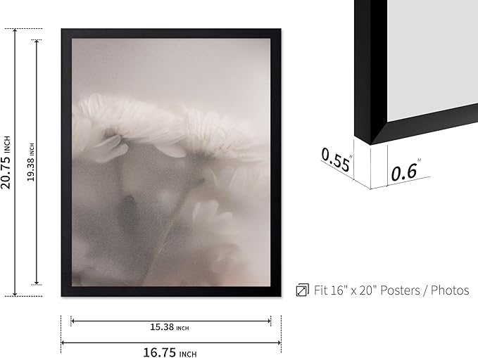 Monem Art Ethereal White Flower Print - Minimalist Botanical Photography Poster - Wall Decor for Living Room, Bedroom or Office - 16x20 Black Framed Wall Art by Mareike Bohmer