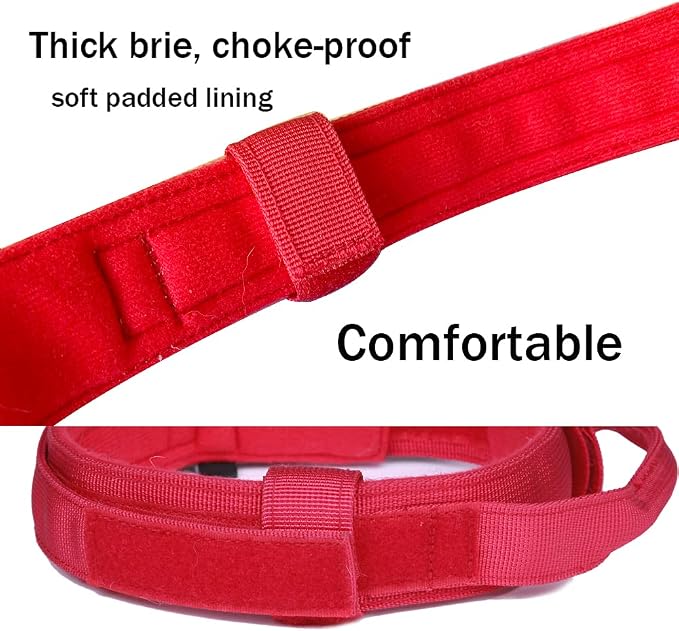 Tactical Dog Collar Adjustable Military Nylon Dog Collar with Control Handle and Heavy Duty Metal Buckle for Medium and Large Dogs (Red,M)
