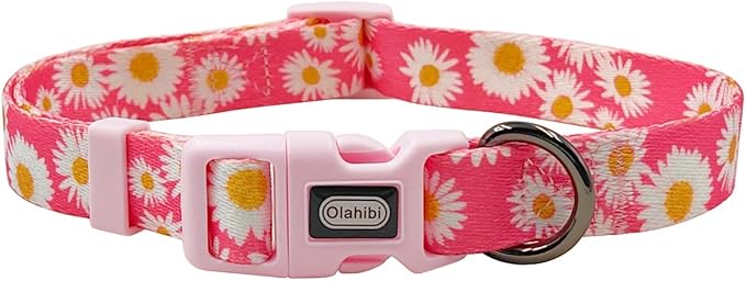 Dog Collar and Leash Set, Cute Pink Daisy Pattern, Polyester Material, 5ft Leash, for Small Dogs.(Small, Pink Daisy)