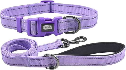 Dog Collar Leash Set,with Relfective Strips,Lilac Purple,Small. | Adjustable Collar,5 ft Matching Leash,Neoprene Padded Handle.