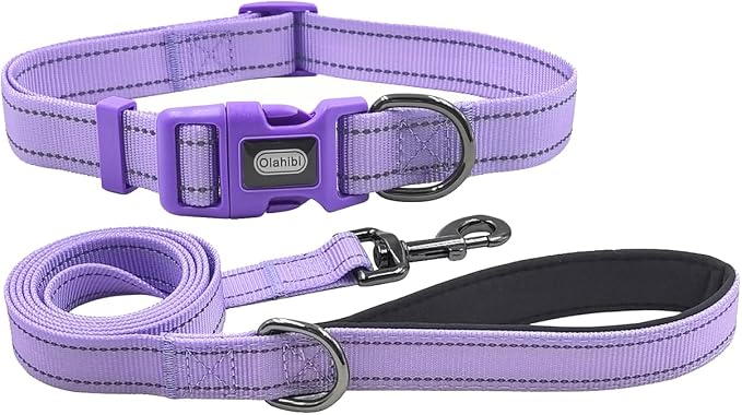 Dog Collar Leash Set,with Relfective Strips,Lilac Purple,Extra Small. | Adjustable Collar,5 ft Matching Leash,Neoprene Padded Handle.