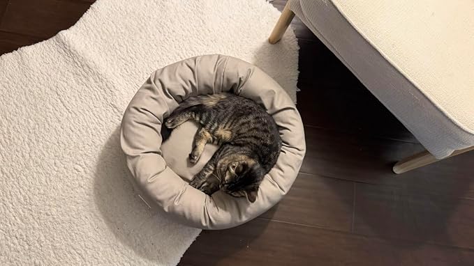Organic Cotton Canvas Dog Bed: Removable Cover, Natural Fill - Made in USA (Gray, X Small 18" x 6" inches)