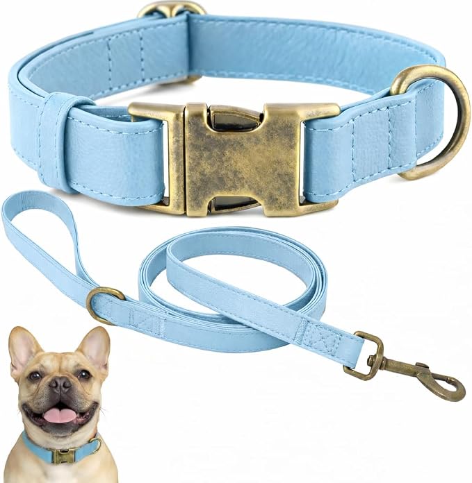 Silicone Dog Collar and Leash Set, Waterproof & Odor-Proof Puppy Collar for Small Dogs, Soft Flexible Leather-Look Dog Collars, Durable Thick Adjustable Pet Collar (Blue, Medium (12.5-20" Neck))
